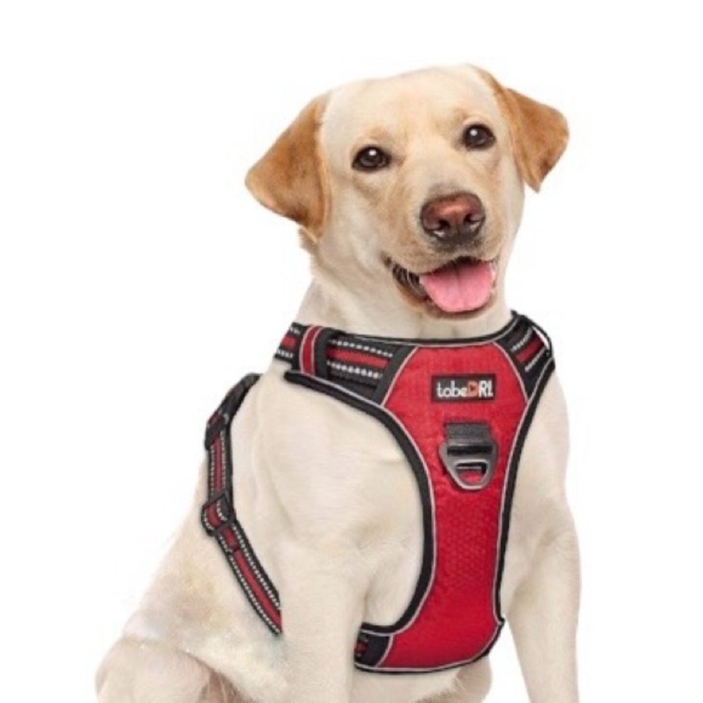 tobeDRI Red/Black No Pull No Choke Adjustable Reflective Dog Harness
